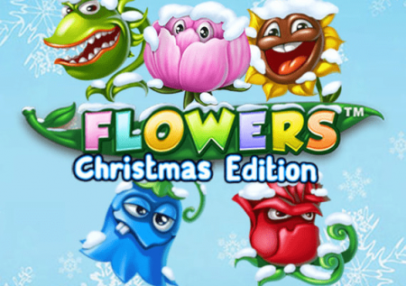 Flowers Christmas Edition