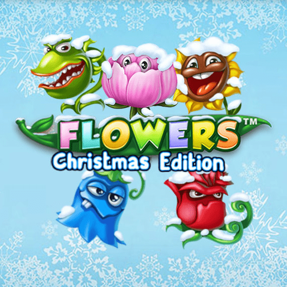 Flowers Christmas Edition